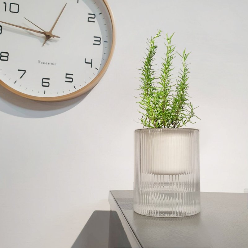 迷迭香 香草植物 盆栽 - 植栽/盆栽 - 塑料 绿色