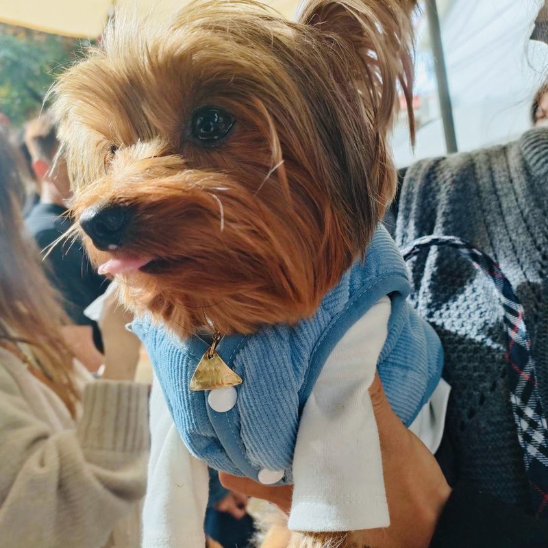 黄铜 三角形 宠物 防走失 吊牌 可定制姓名 S248 - 项链 - 铜/黄铜 多色