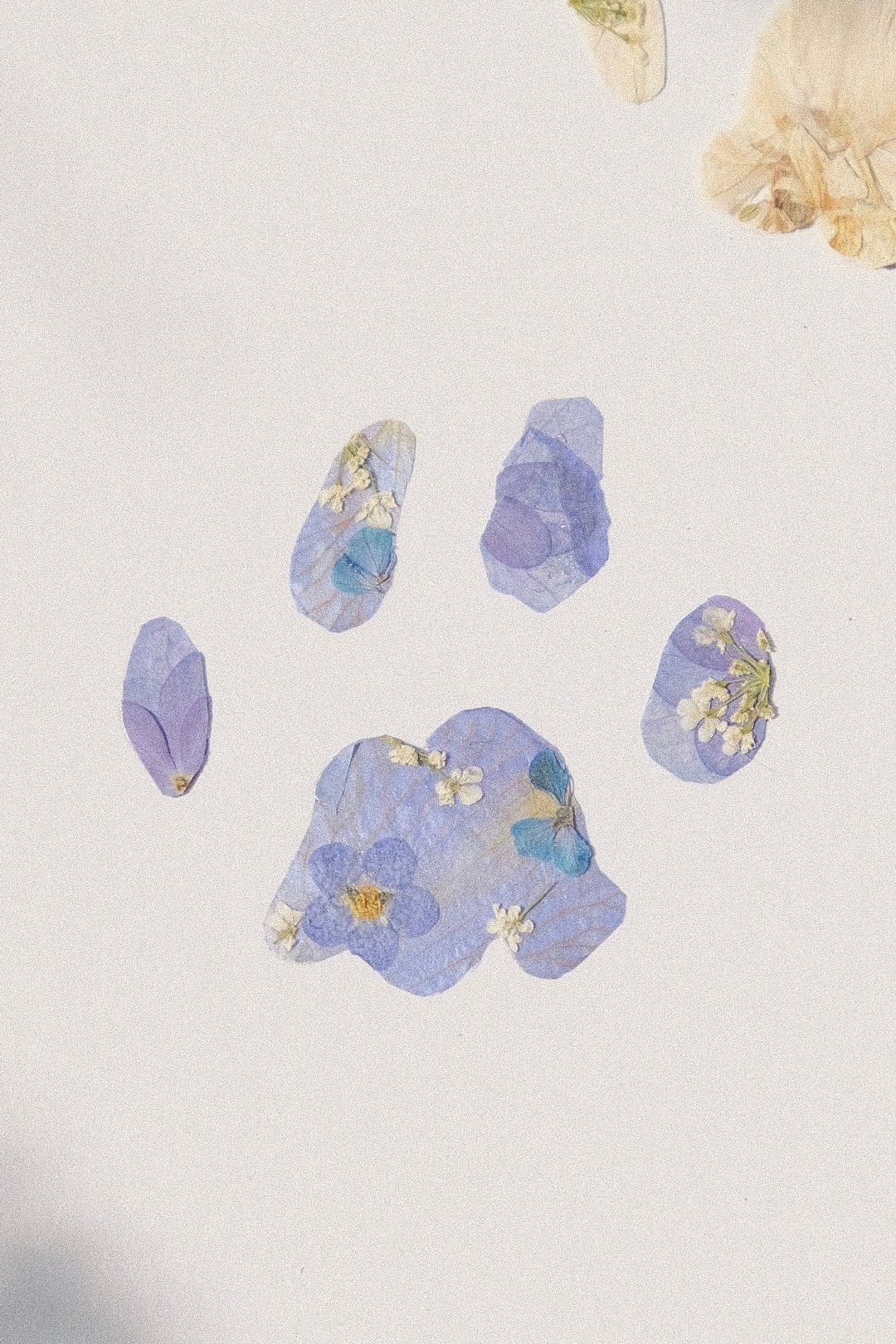 【宠物足印】Pet 猫狗 毛小孩纪念 足迹 押花艺术 压花 木框 定制 - 订制抱枕/饰品 - 植物．花 多色
