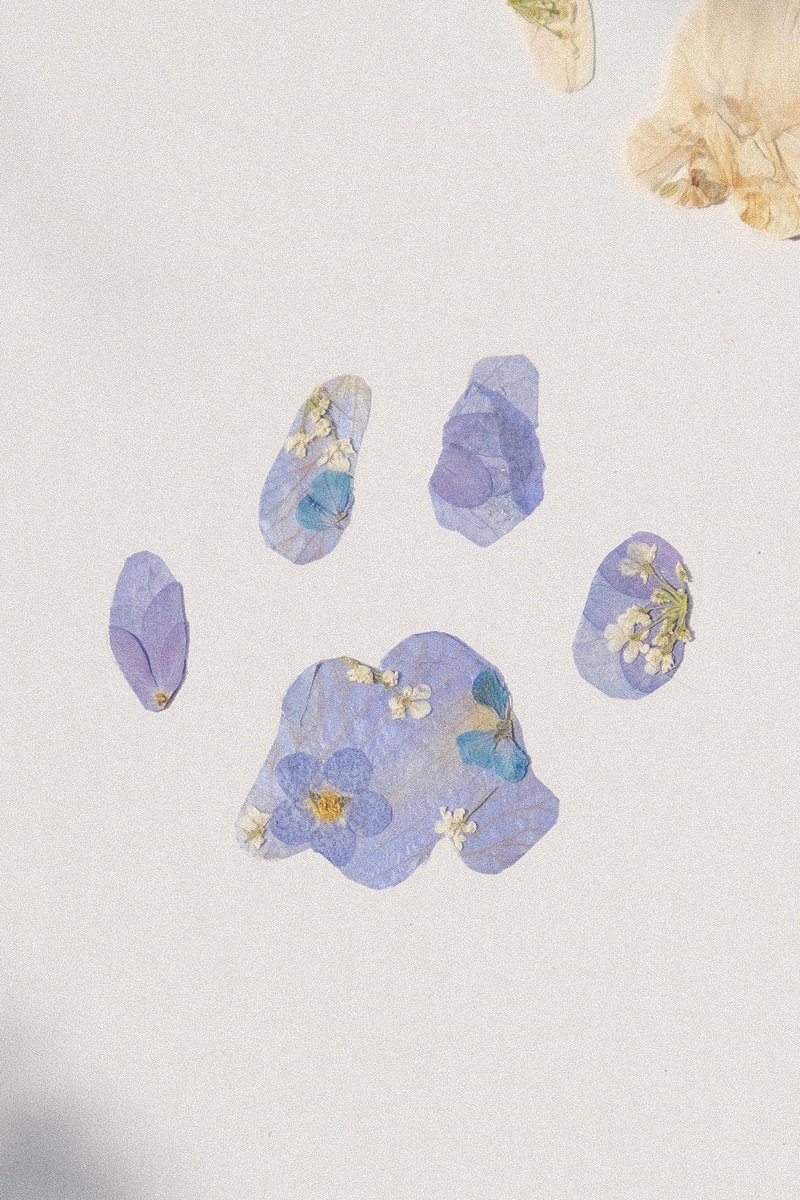 Pet X Footprints / 宠物纪念 足迹 足印 押花艺术 压花 定制化 - 订制抱枕/饰品 - 植物．花 多色