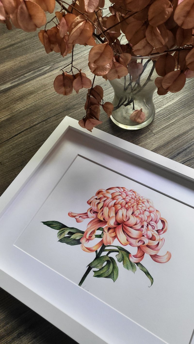 菊手绘框饰挂件 - 摆饰 - 纸 