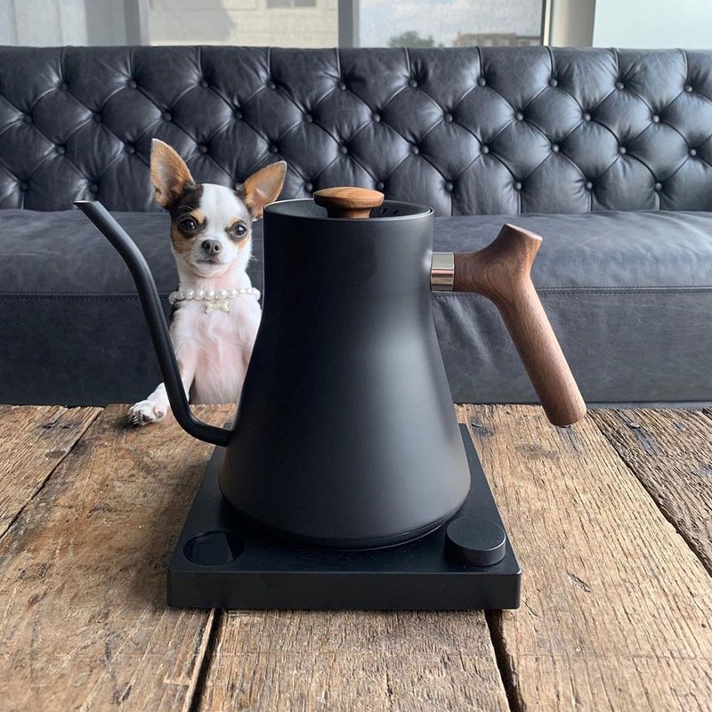 FELLOW STAGG EKG 电子温控壶-600/900ml黑色-胡桃木把手超值组合 - 水瓶/水壶 - 不锈钢 黑色