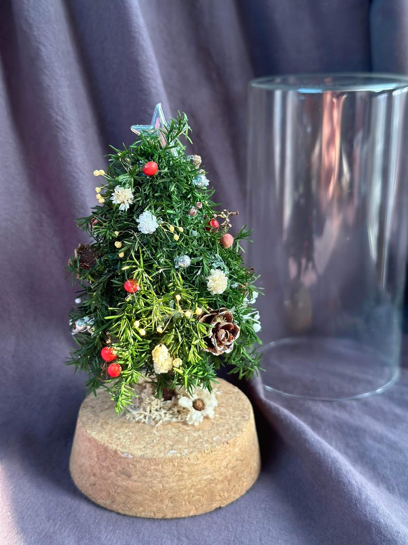 【永生雪松圣诞树】永生雪松/圣诞节/玻璃花/交换礼物 - 植栽/盆栽 - 植物．花 