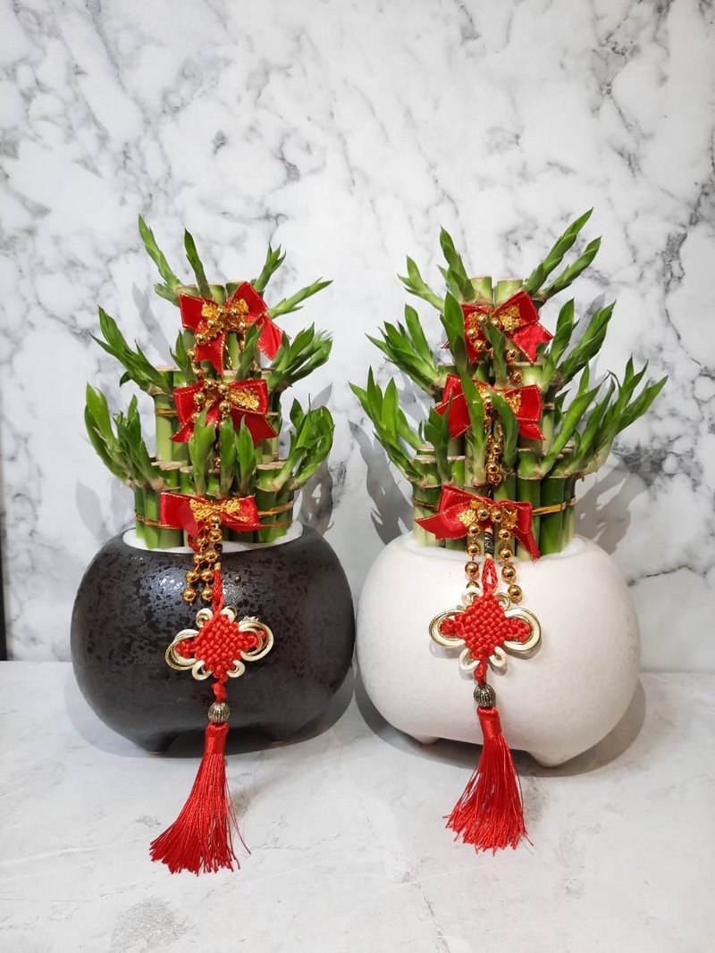 黑白胖三 开运竹 开幕 开店 送礼 入厝 乔迁 生日礼物 - 植栽/盆栽 - 瓷 黑色