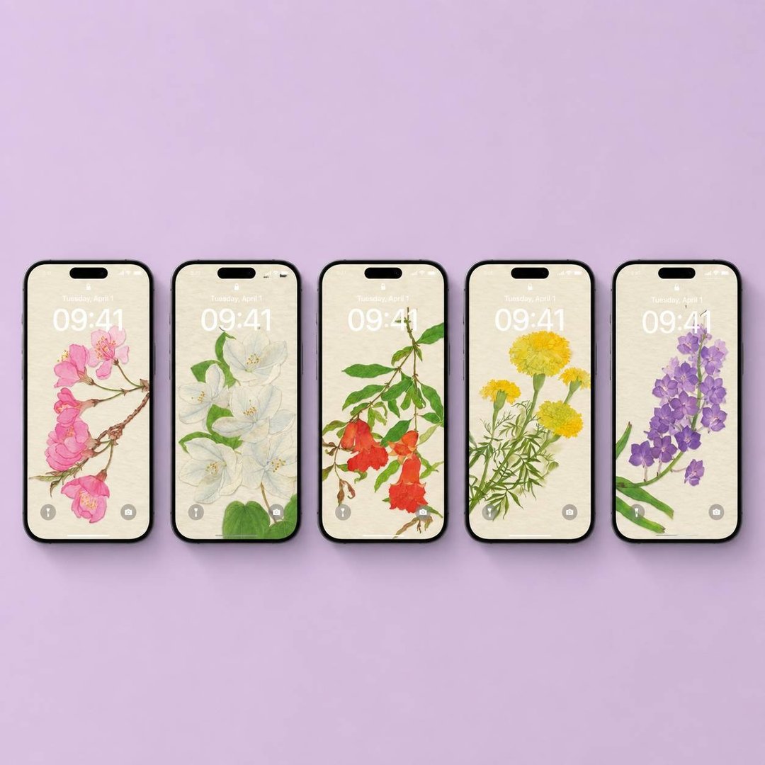 Blooming Blessing 壁纸 4K，适用于 iPhone、iPad、Android 手机与平板电脑 - 电脑手机桌布/贴图/App 图示 - 其他材质 