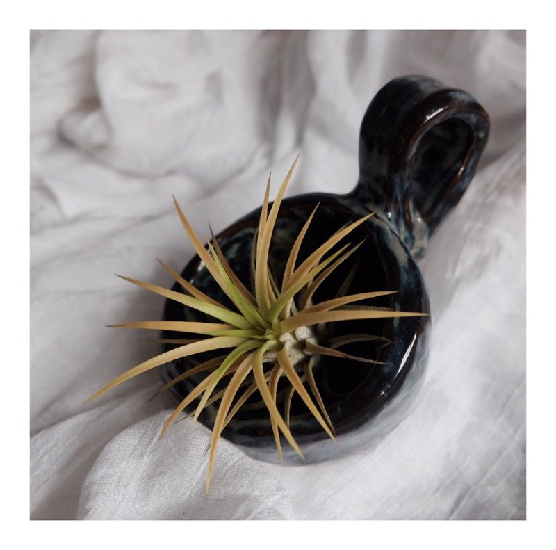 浓蓝色空气草吊篮 - 植栽/盆栽 - 陶 多色