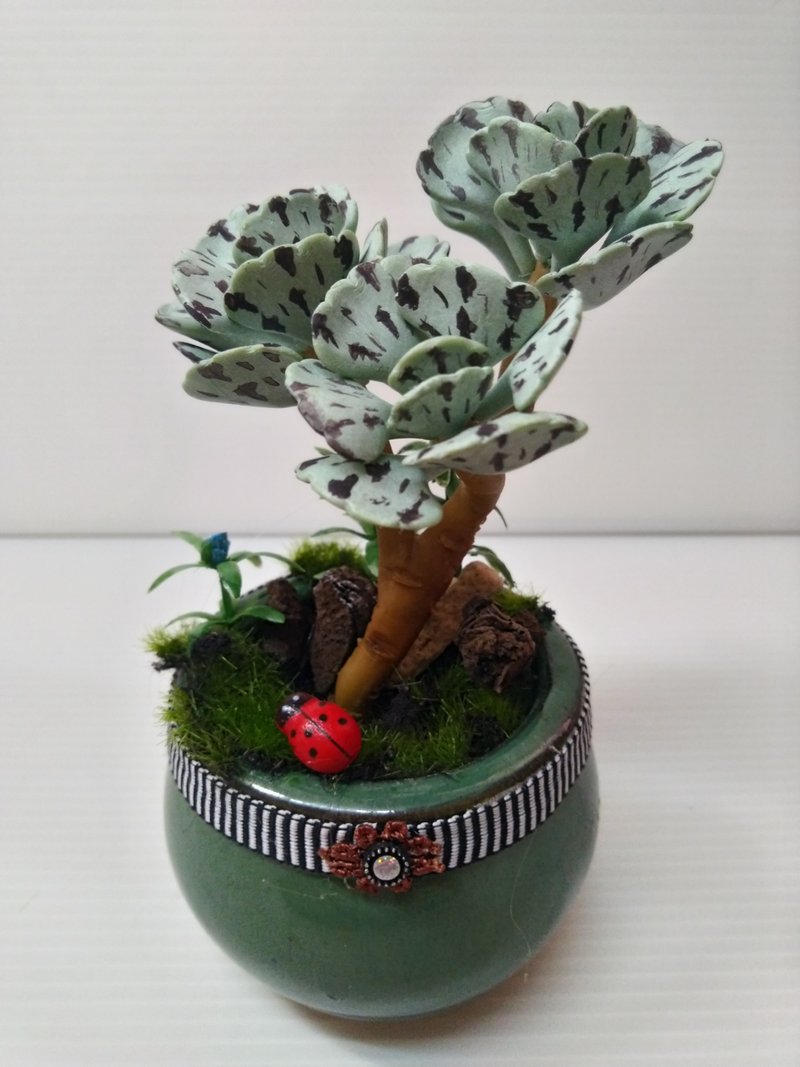 接单制作款/仿真盆栽多肉系列-扇雀 - 植栽/盆栽 - 植物．花 绿色