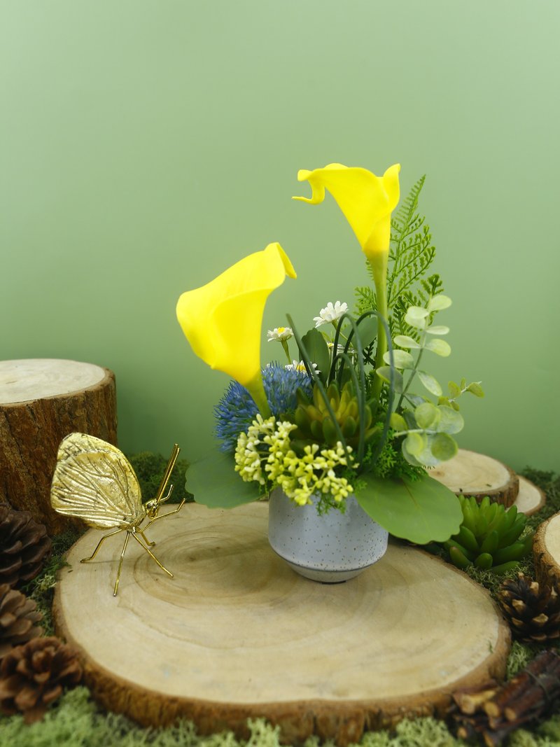 恒久祝福黄海芋香氛花礼/入厝礼/开幕/乔迁/送礼/植栽 - 植栽/盆栽 - 其他材质 黄色