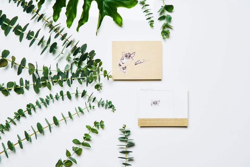 亨氏负鼠, 濒危物种:明信片小卡/ 一卡一捐 - 卡片/明信片 - 纸 卡其色