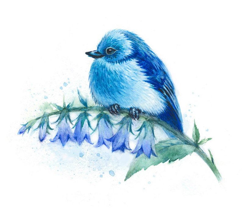Blue bird watercolor print - 海报/装饰画/版画 - 纸 蓝色