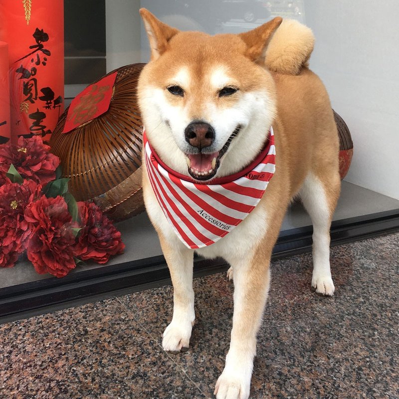 狗狗专属名领巾-定制化(中型犬)- 红白条纹 - 项圈/牵绳 - 棉．麻 红色