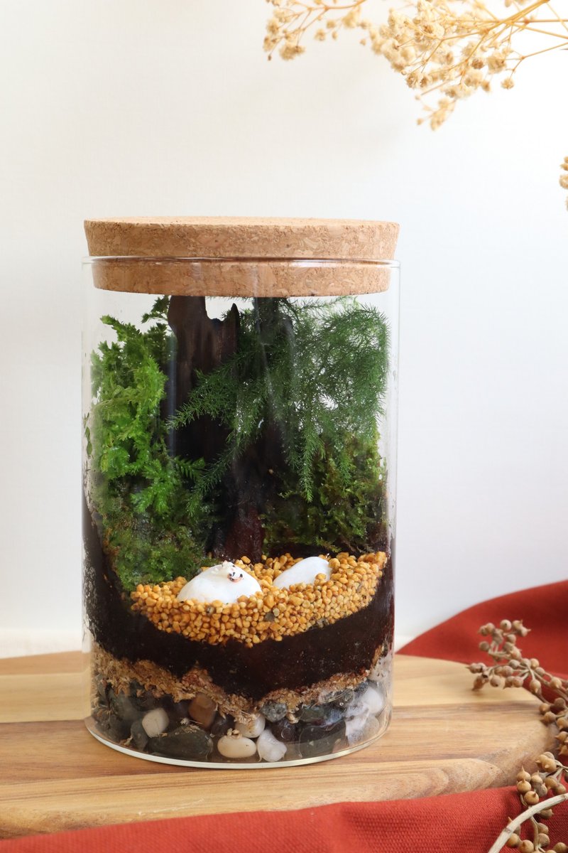 【微景观】三脚猫功夫 - 苔藓组盆/交换礼物/功夫猫猫 - 植栽/盆栽 - 玻璃 绿色