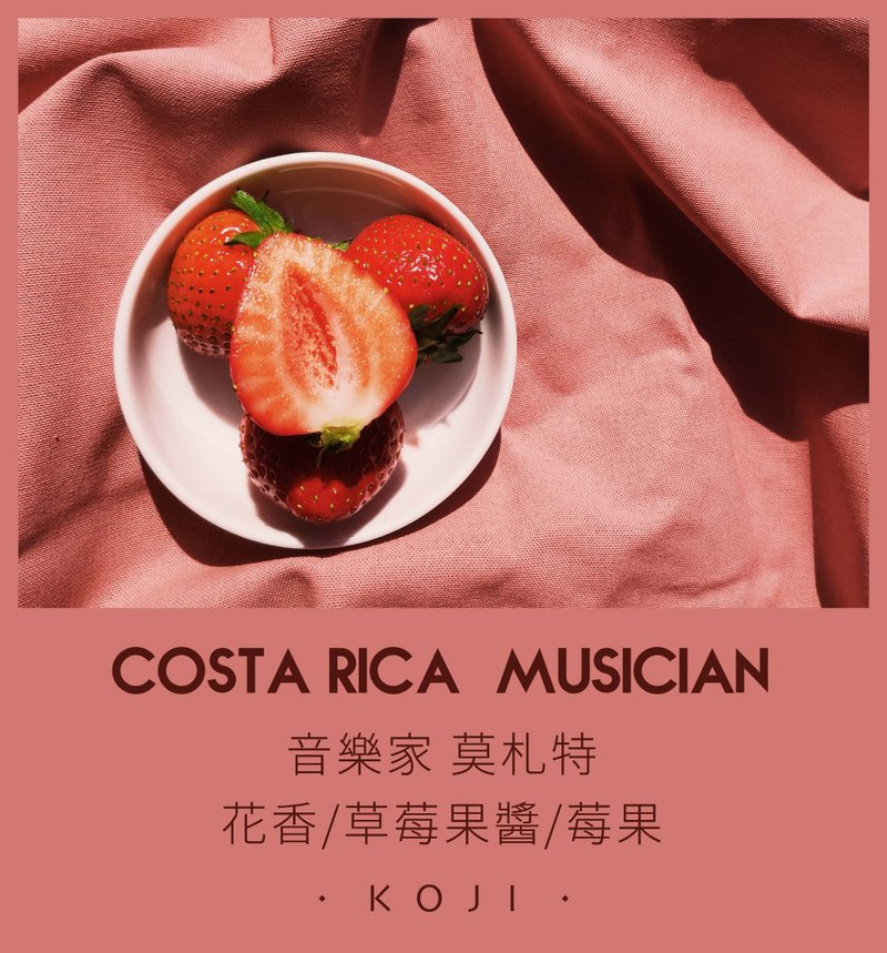 音乐家 莫札特 浅烘焙 葡萄干蜜处理 咖啡豆 挂耳包 - 咖啡 - 新鲜食材 白色