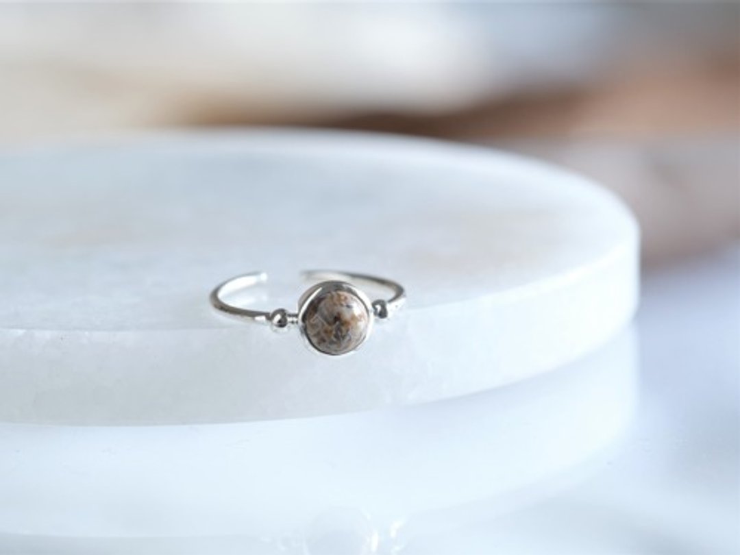 dinosaur born fossil agate _Halda áfram ring - 戒指 - 其他金属 银色