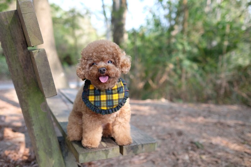双色格仔 双面花边口水坚 - 项圈/牵绳 - 棉．麻 