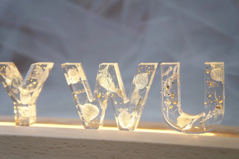 FROZEN 定制化浪漫永生花小夜灯 字母灯摆设 情人节 母亲节礼物 - 灯具/灯饰 - 植物．花 蓝色