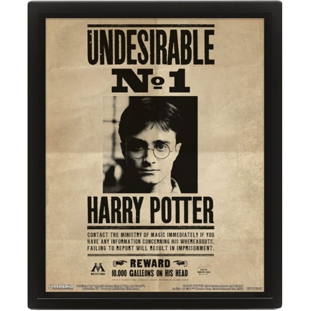 【哈利波特】波特/天狼星通缉令-3D海报含框 Harry Potter/Sirius - 海报/装饰画/版画 - 其他材质 多色