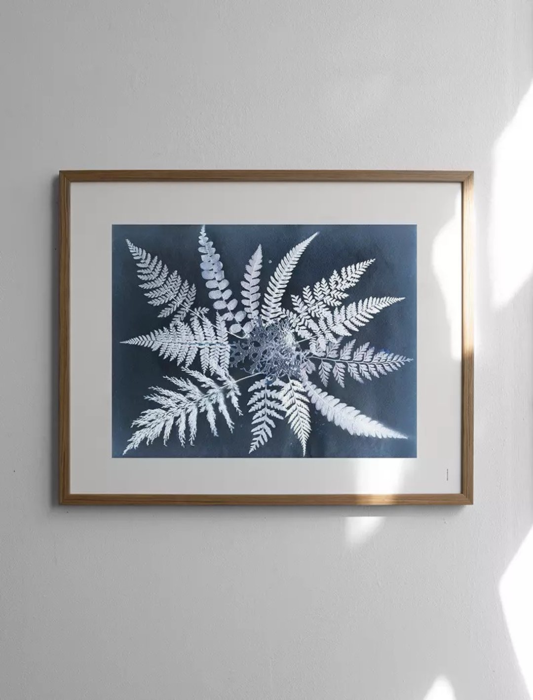 Elisabeth Dunker - 瑞典艺术家设计海报  FERN STAR POSTER - 海报/装饰画/版画 - 纸 蓝色