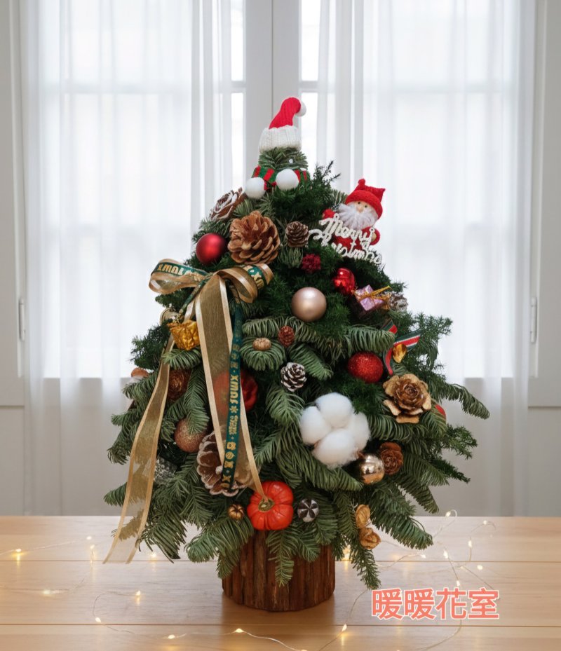 永生圣诞树 - 干燥花/捧花 - 植物．花 