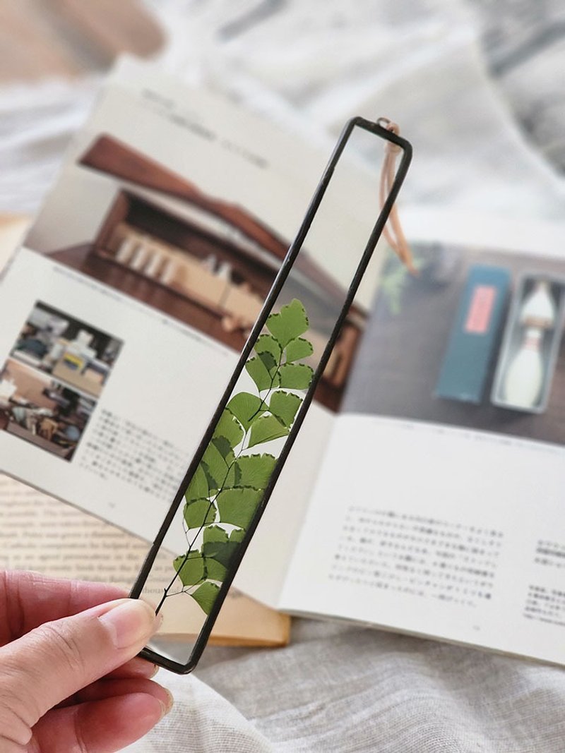植物图鉴∣美叶铁线蕨∣玻璃镶崁∣花草标本书签 - 书签 - 植物．花 白色