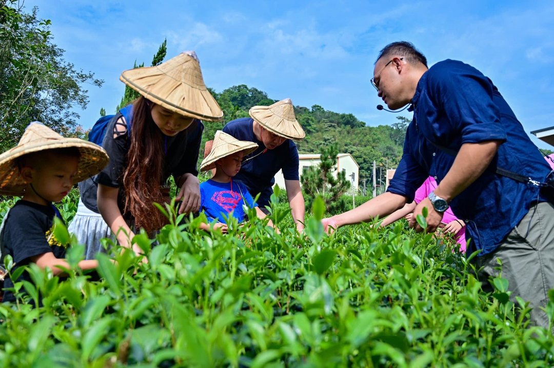 山中体验学//一日采茶人+制茶无难事// 翰林- 鹿谷美地冻顶茶 - 深度旅游 - 其他材质 
