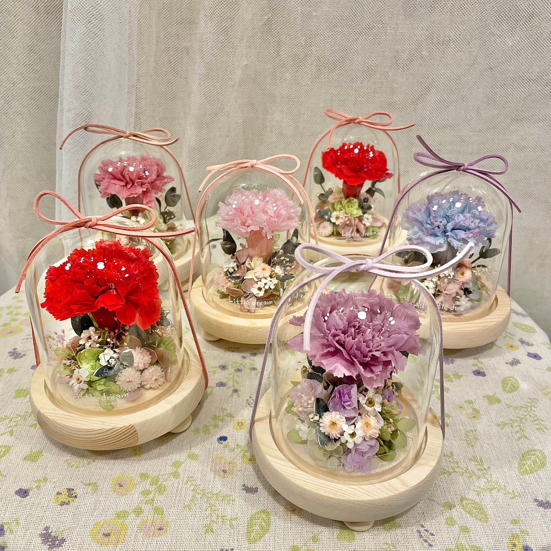 小梦境花艺-母亲节花礼 日本永生花大康乃馨 玻璃罩实木底 - 干燥花/捧花 - 植物．花 白色