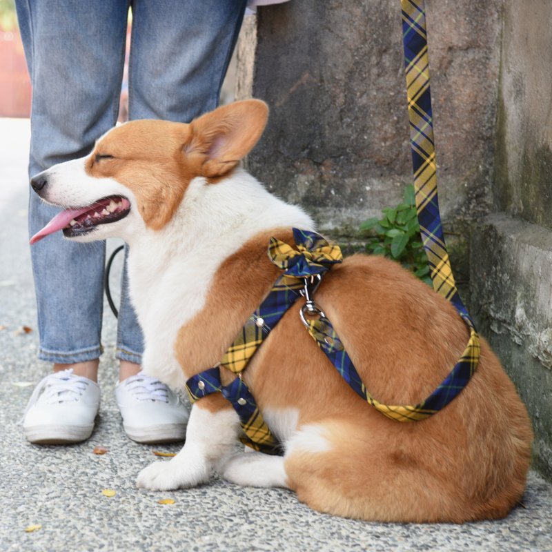 【ZAZAZOO】L码-经典格纹Y型胸背-不含牵绳 - 项圈/牵绳 - 聚酯纤维 
