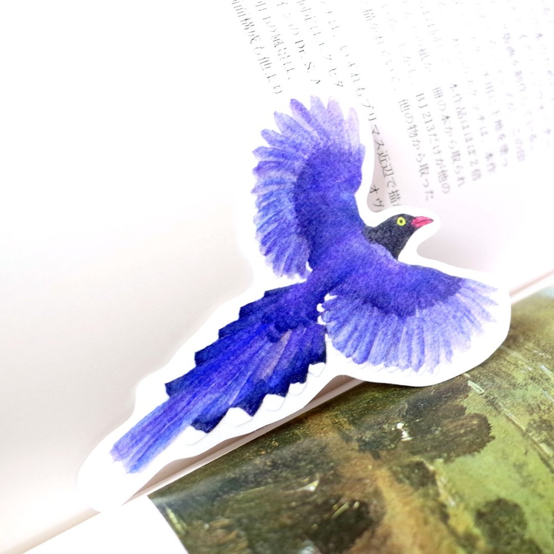 台湾特有种 台湾蓝鹊 绘画PVC防水大贴纸 - 贴纸 - 防水材质 蓝色