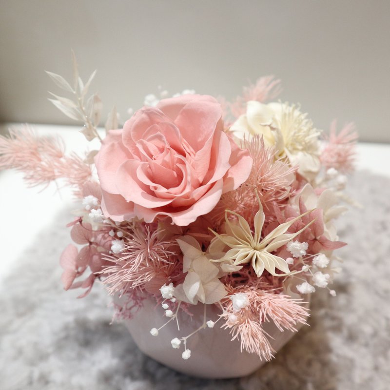 不凋玫瑰 \ 永生玫瑰 手工水仙 菱形几何盆花 - 摆饰 - 植物．花 