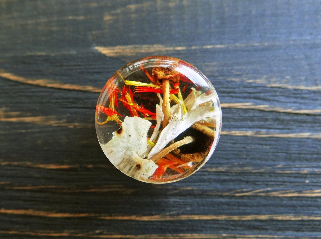 Mushroom earrings plugs Forest plugs Fairy Witch Magic Mystic Lichen Orange plug - 耳环/耳夹 - 植物．花 橘色