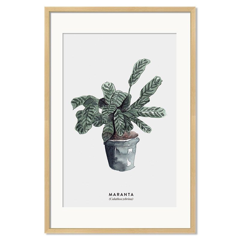 异见定制家居装饰画-竹芋 - 海报/装饰画/版画 - 其他材质 