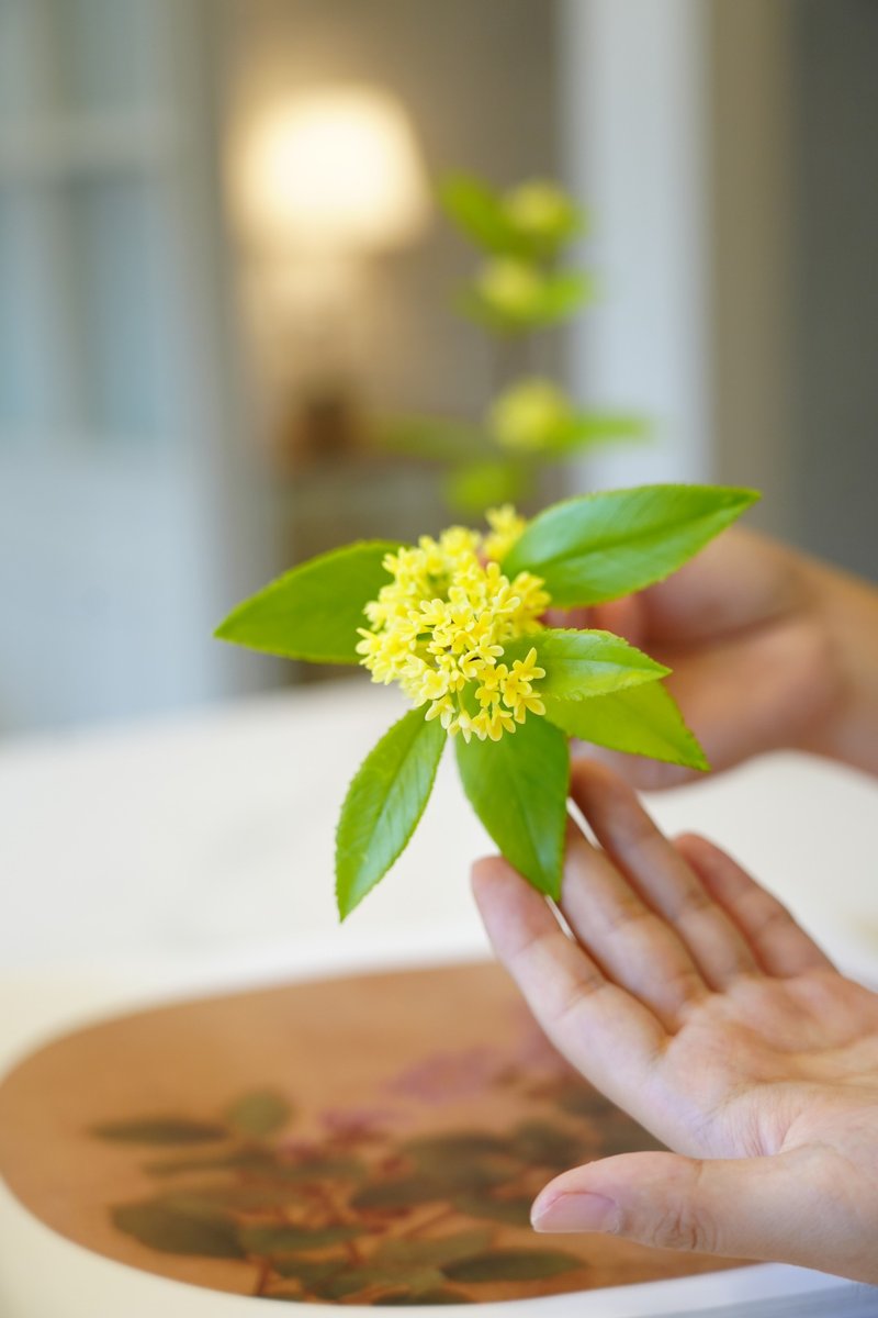 招生中/手作黏土花艺——桂花  双人另有优惠 限平日 - 植栽 - 粘土 