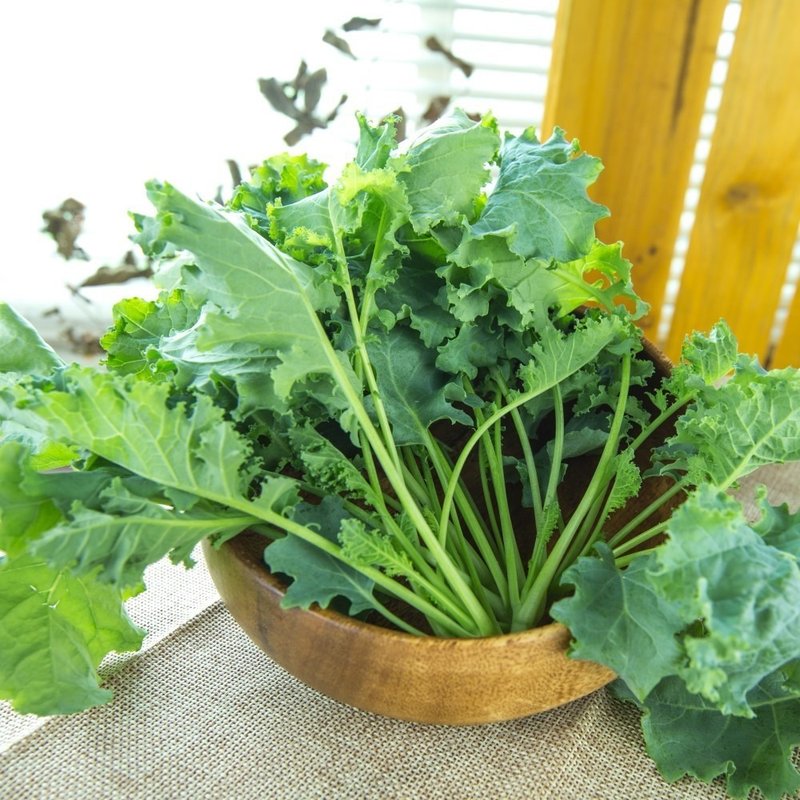 【源鲜智慧农场】翠绿羽衣甘蓝(150g/袋)欧美 绿拿铁 超级食物 - 其他 - 新鲜食材 