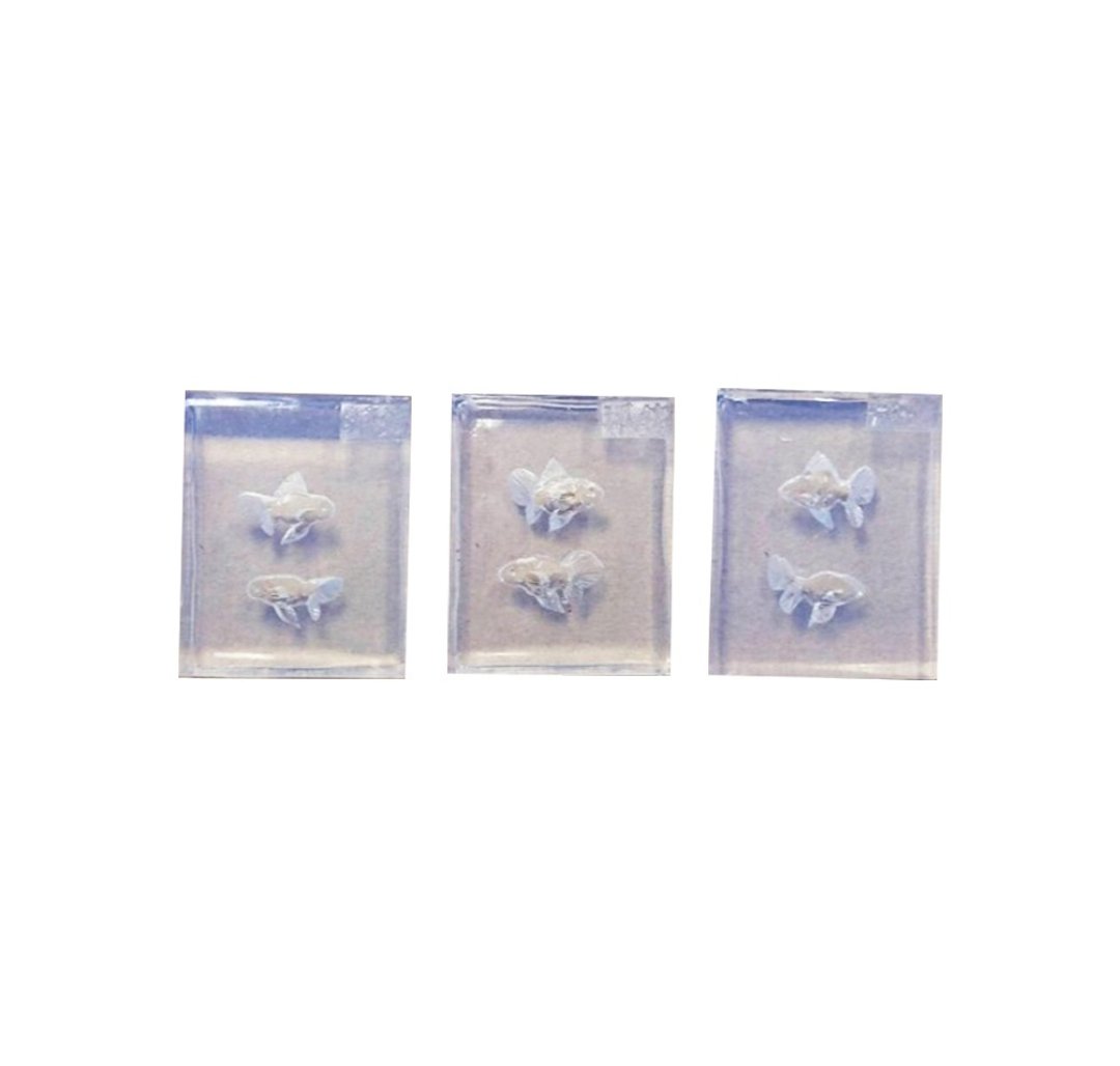 手工制造 小金鱼组 超高透明模具 迷你硅胶模具 三入组 - 其他 - 硅胶 