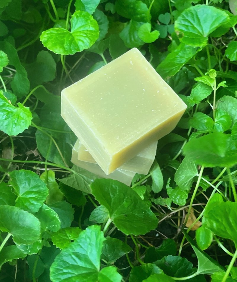 限量-积雪草凝脂皂 - 肥皂/手工皂 - 其他材质 