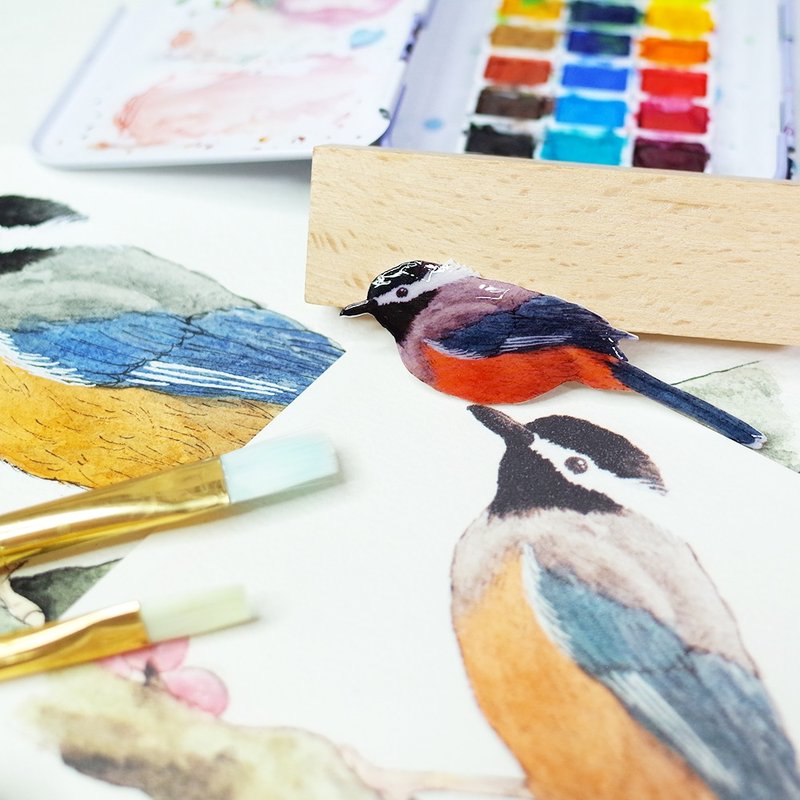 台湾特有种 白耳画眉 绘画别针 胸针 - 胸针 - 防水材质 多色