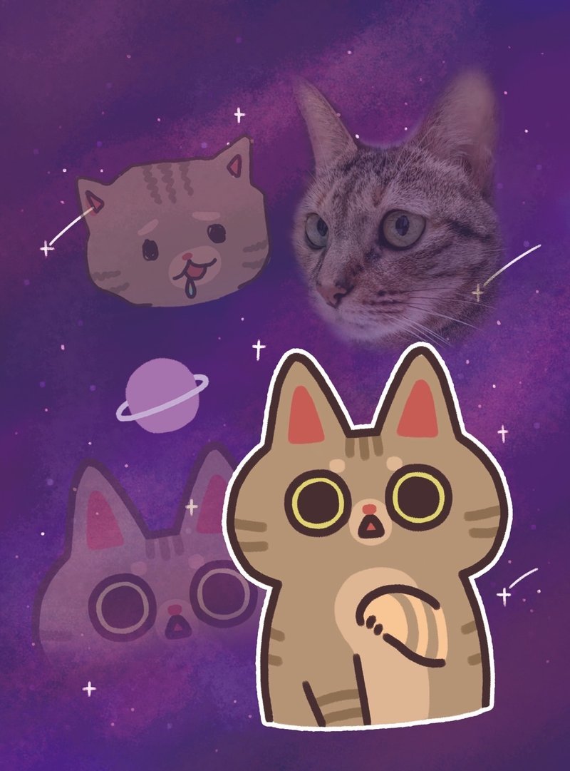 猫咪插画明信片 迷幻乙拉款 - 卡片/明信片 - 纸 多色