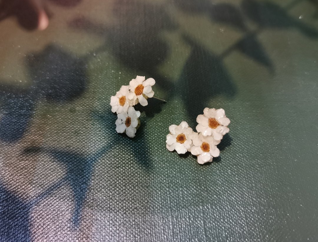 手作饰品 | 法国白梅   真花植物纯银耳钉 - 耳环/耳夹 - 植物．花 