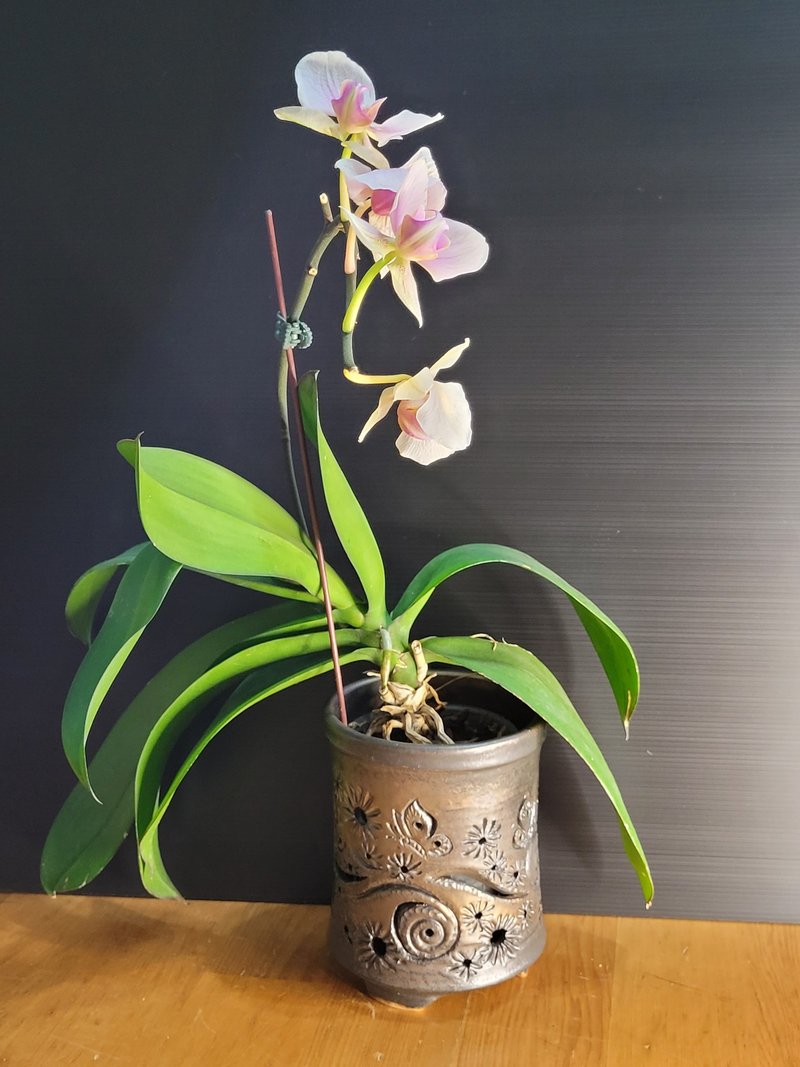 镂空兰花盆套 镂刻兰花装饰盆 镂雕花盆套 夜灯灯罩 - 花瓶/陶器 - 陶 