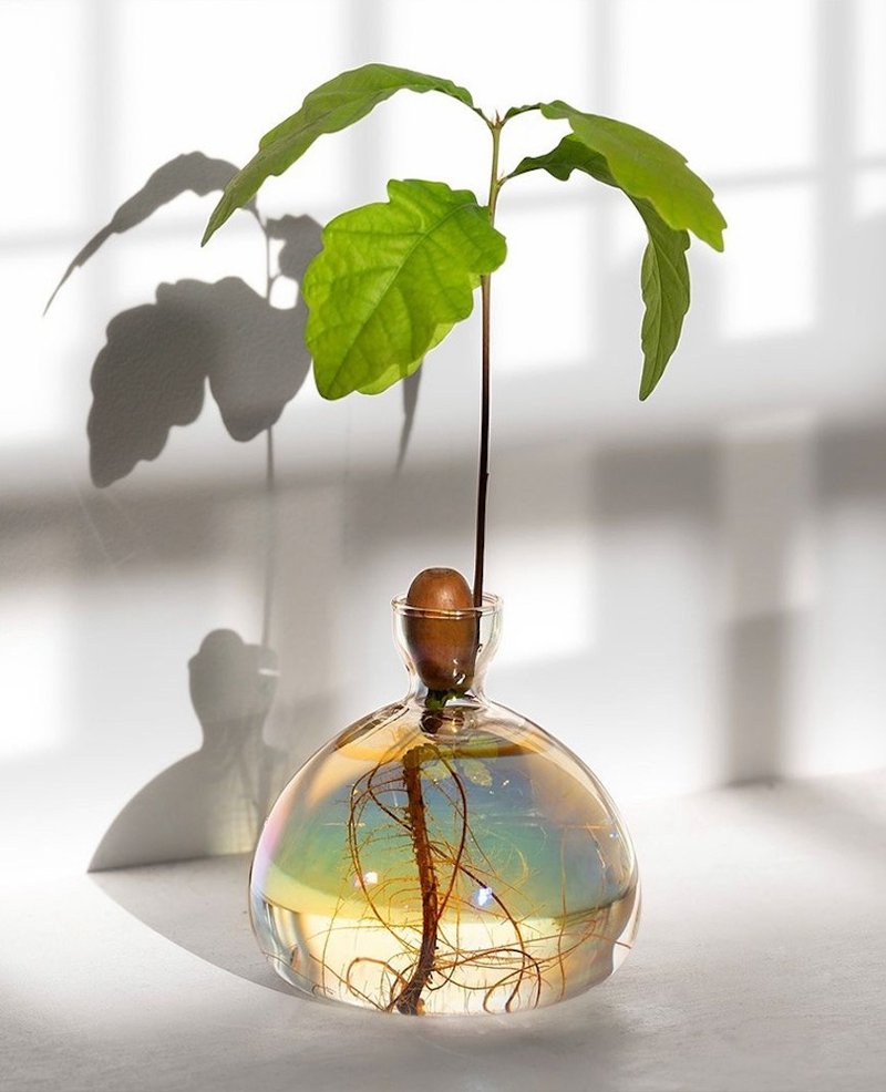 ILEX STUDIO | 酪梨玻璃花器 宇宙星彩 - 花瓶/陶器 - 玻璃 多色