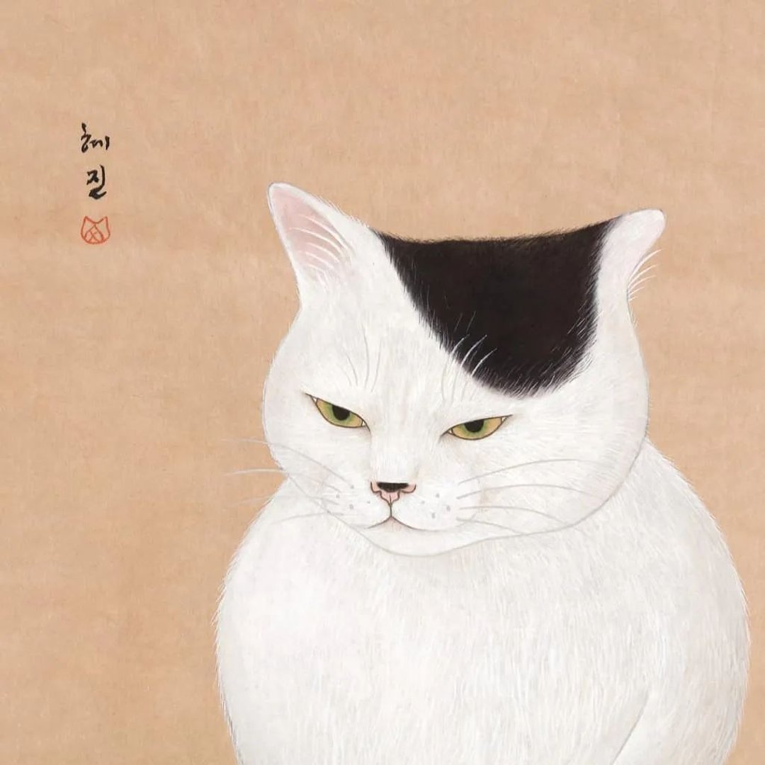 漂亮的白猫。蘑菇小猫的证件照。猫咪的各种姿态。韩国艺术家明信 - 卡片/明信片 - 纸 