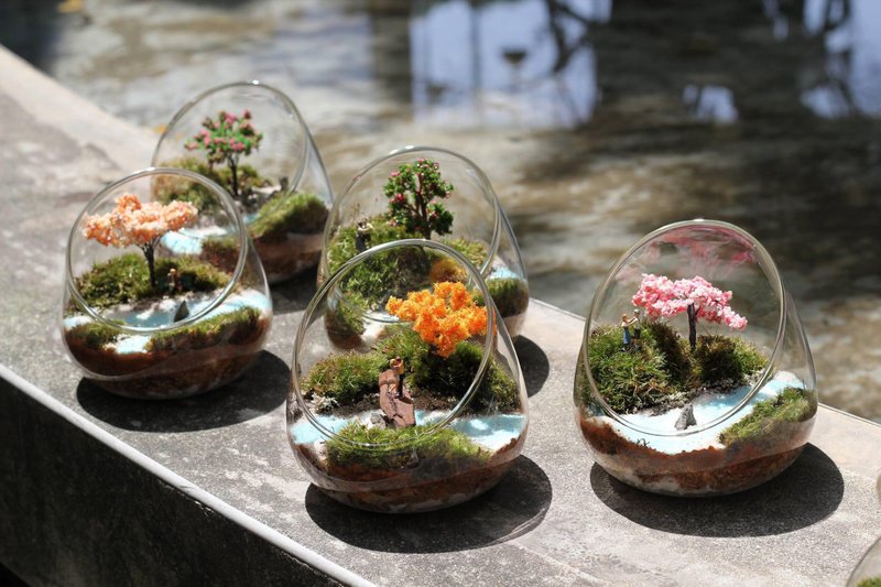 微境瓶体验活动 - 植栽 - 玻璃 