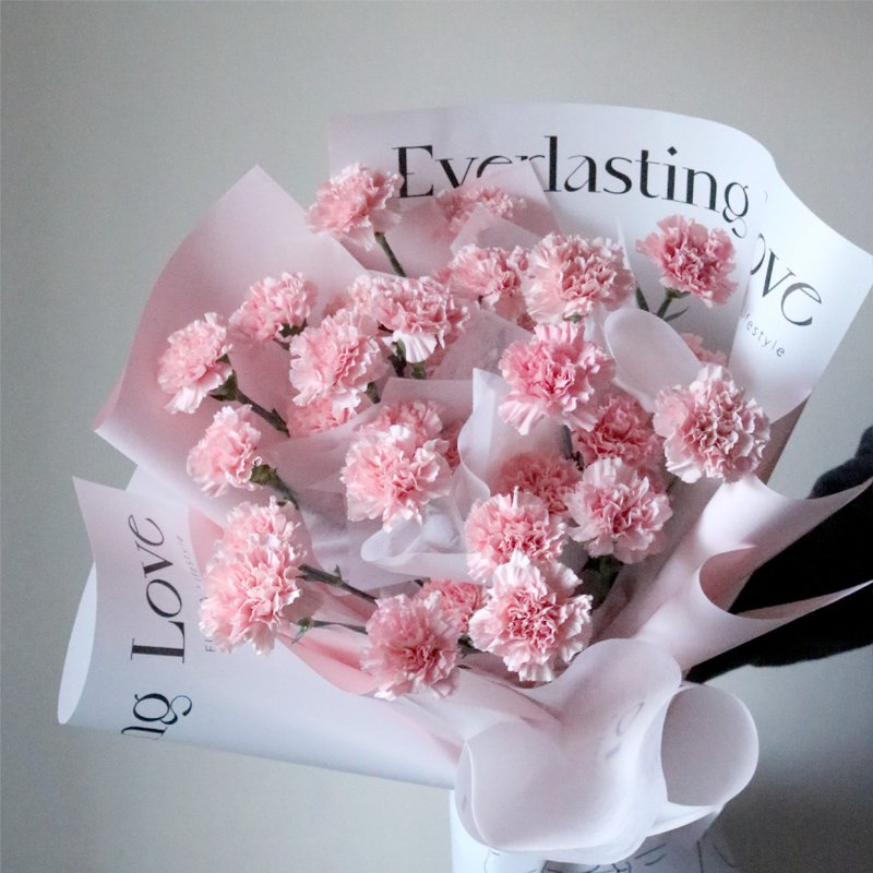 【鲜花进口康乃馨花束】母亲节。开幕。生日。毕业季 I 可自取 - 植栽/盆栽 - 植物．花 多色