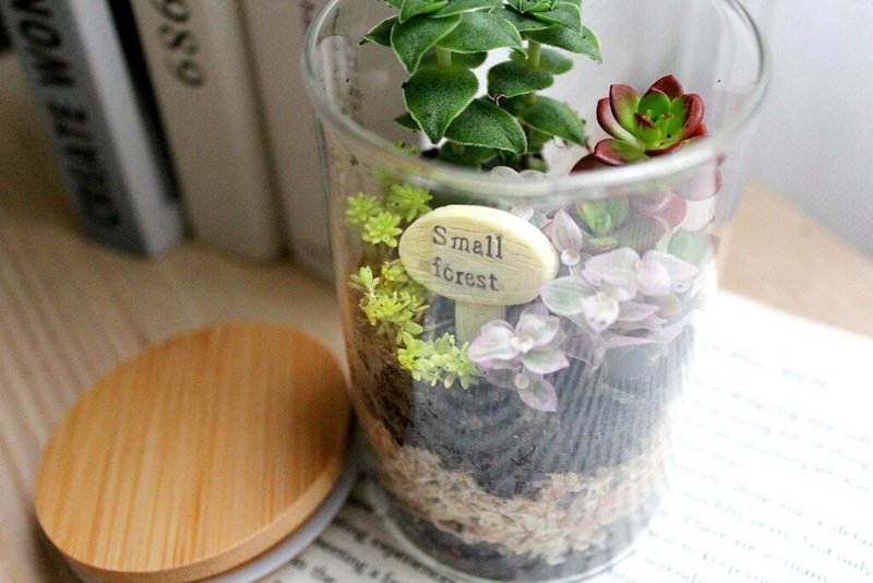 【高雄场】下班随手作 | 微景观多肉生态瓶 - 植栽 - 植物．花 