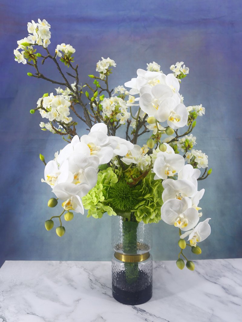 东方美学蝴蝶兰花礼 包邮专人配送限双北市 其余地区需补运费 - 植栽/盆栽 - 其他材质 白色