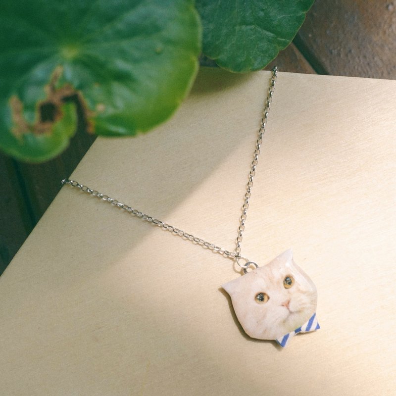 定制化宠物猫狗/人像不锈钢项链 - 项链 - 其他材质 橘色