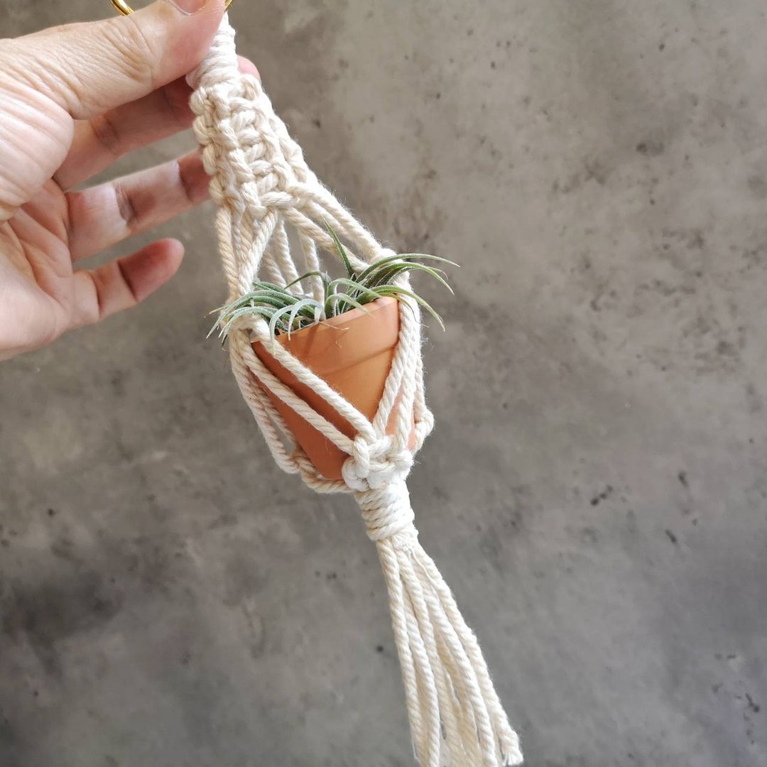 迷你植物小吊饰【 Macrame plant hanger 】4cm陶盆-五五 - 植栽/盆栽 - 棉 
