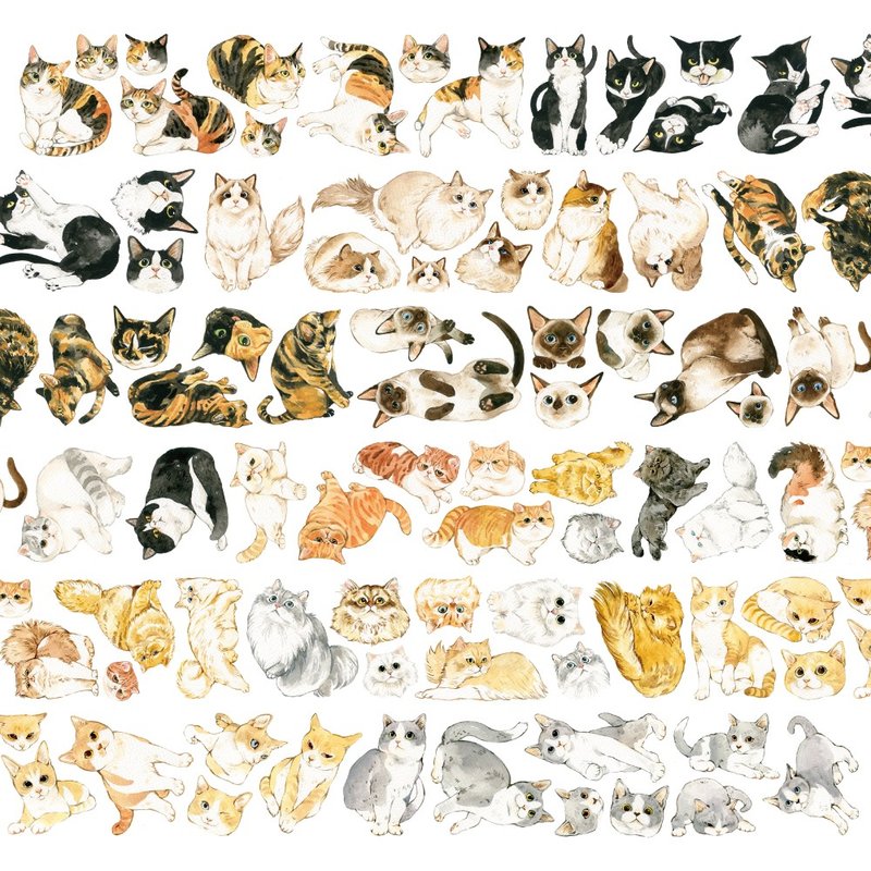 猫猫大集合- (CAT B) PET版 - 纸胶带 - 塑料 