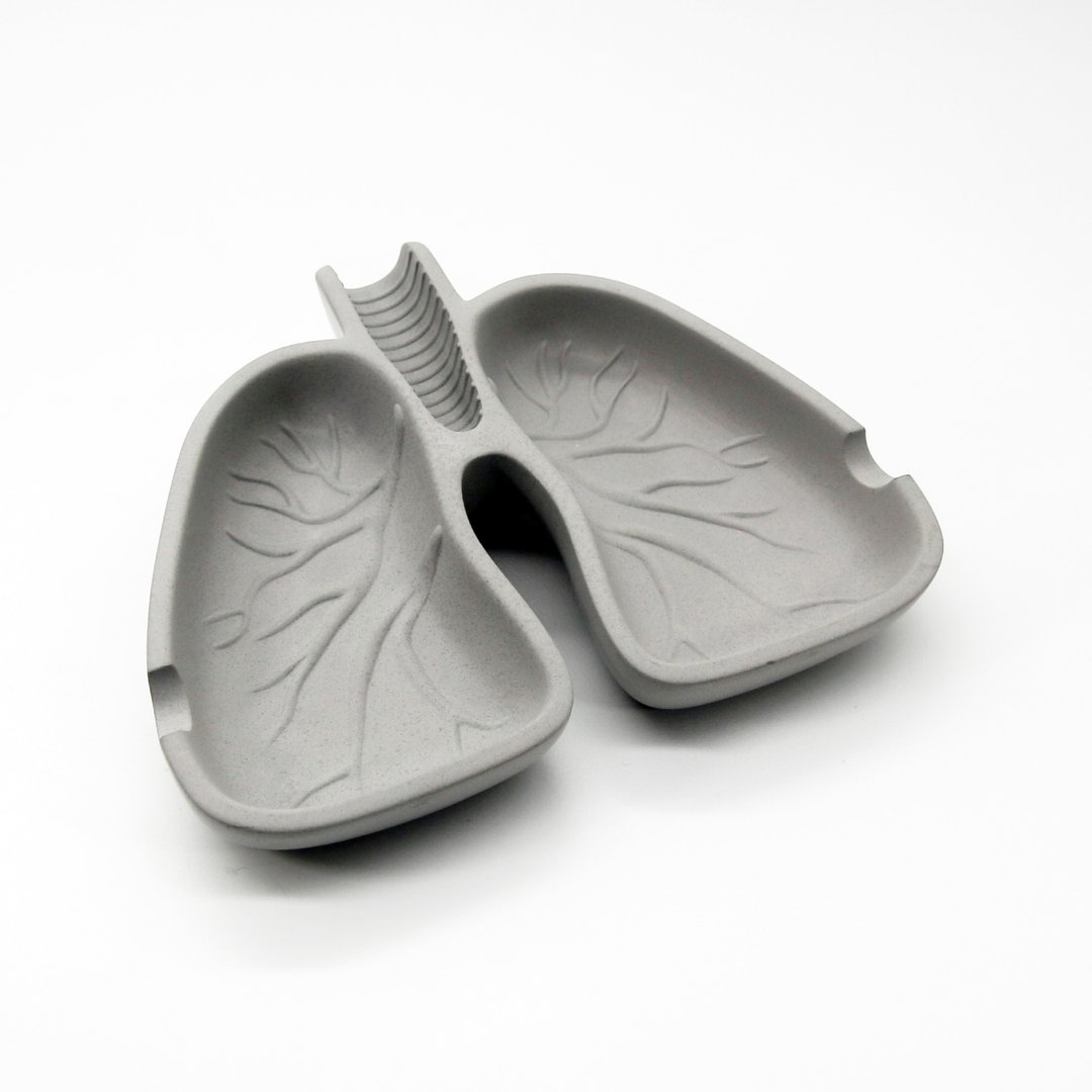 veg out LUNG ashtray I 废肺菸灰缸 I 扩香石－马年开运小物－ - 其他 - 水泥 灰色