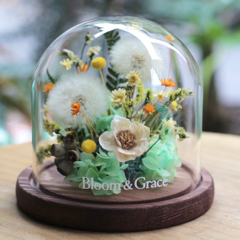 蒲公英花盅 - 干燥花/捧花 - 植物．花 绿色